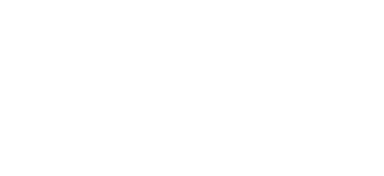 logo_BadFly